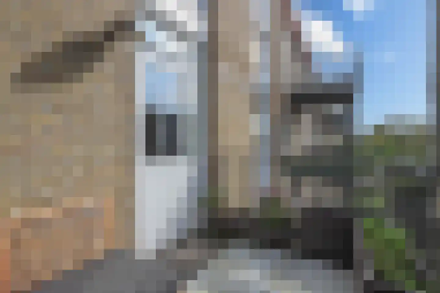Spaaklaan 91 Utrecht thumbnail 22