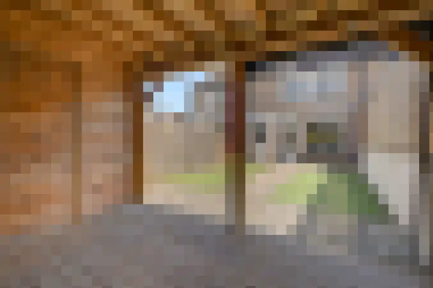 Spaakstraat 13 Zevenaar thumbnail 49