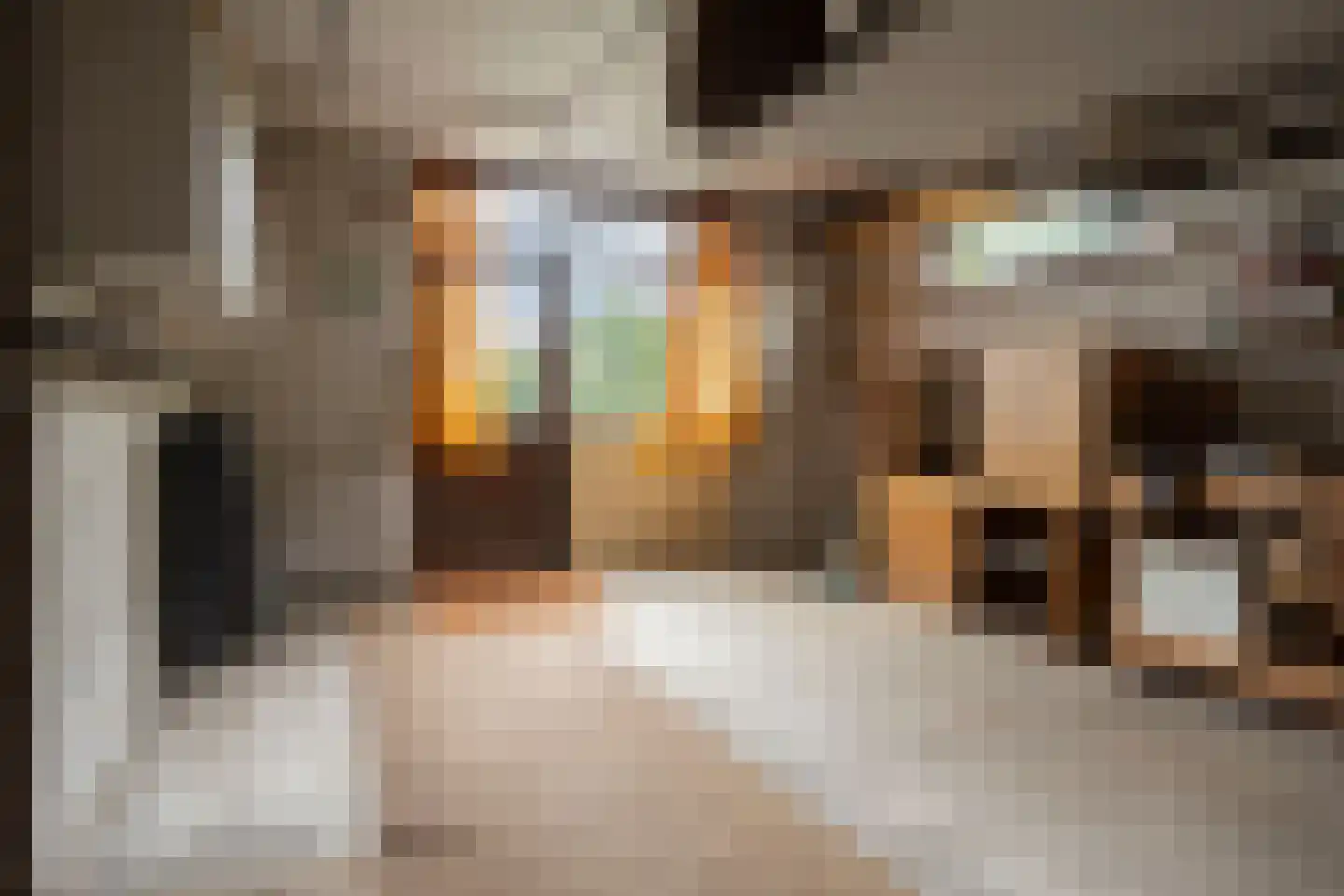 Spaanderbank 10 Emmeloord thumbnail 22