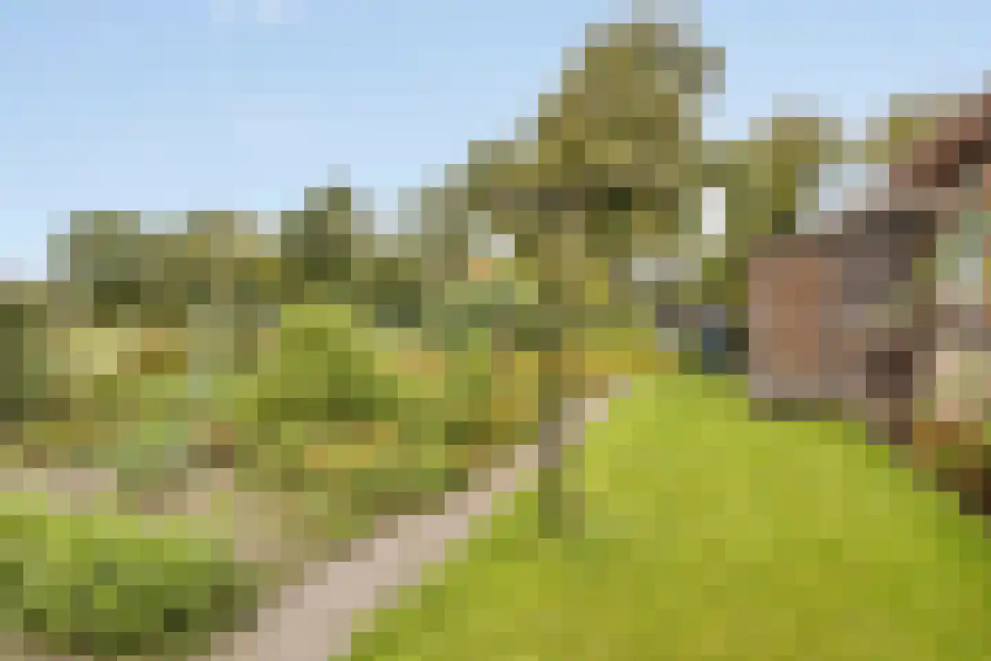 Spaanderbank 10 Emmeloord thumbnail 26