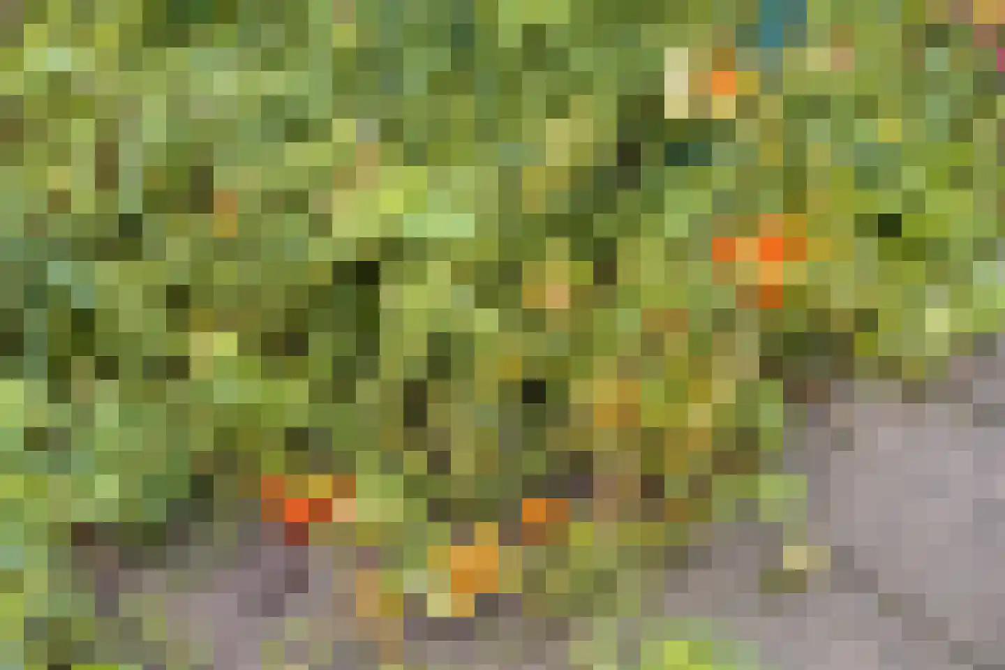 Spaanderbank 10 Emmeloord thumbnail 29