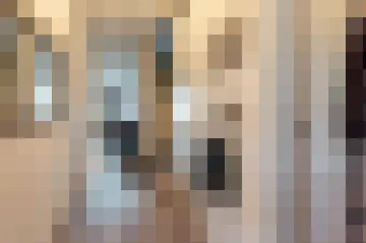Spaanderbank 10 Harderwijk thumbnail 15