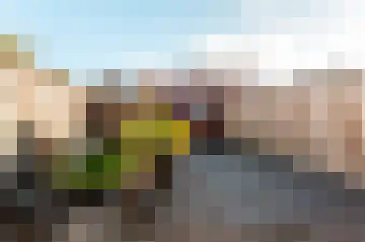 Spaanderbank 10 Harderwijk thumbnail 28