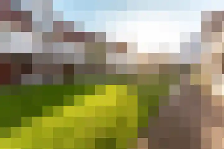 Spaanderbank 10 Harderwijk thumbnail 36