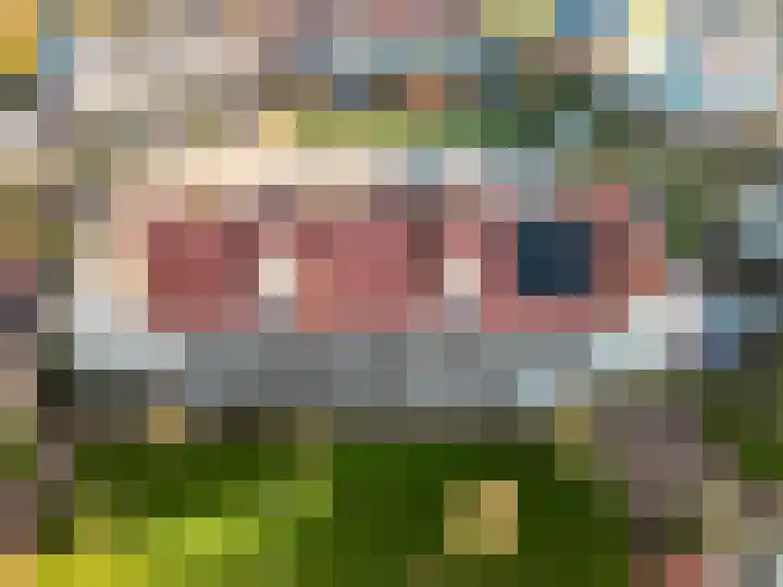 Spaanderbank 10 Harderwijk thumbnail 38