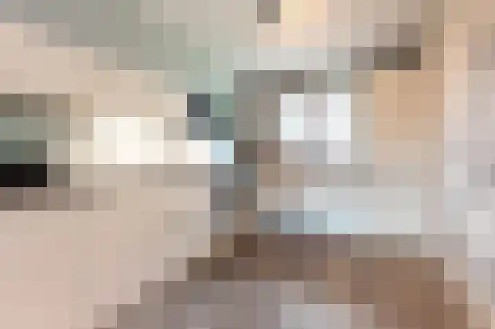 Spaanderbank 10 Harderwijk thumbnail 4