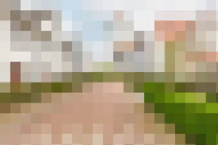 Spaanderbank 10 Harderwijk thumbnail 42
