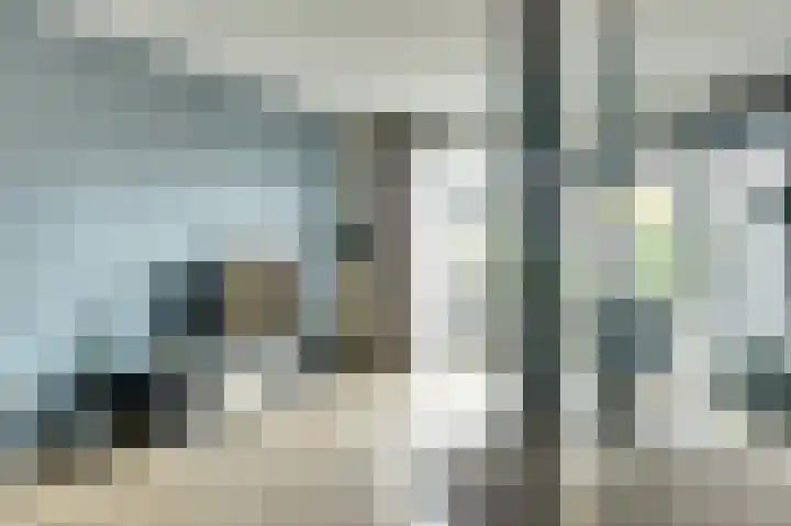 Spaanderbank 12 Harderwijk thumbnail 12