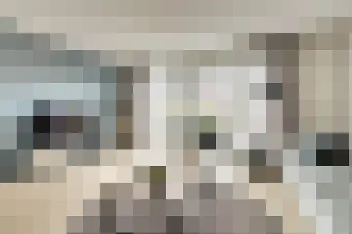 Spaanderbank 12 Harderwijk thumbnail 13