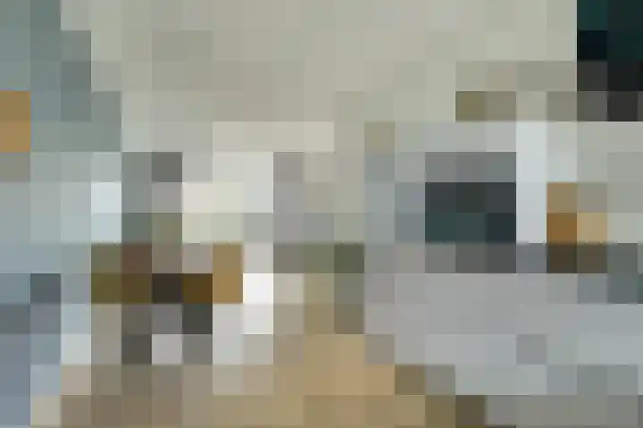 Spaanderbank 12 Harderwijk thumbnail 15
