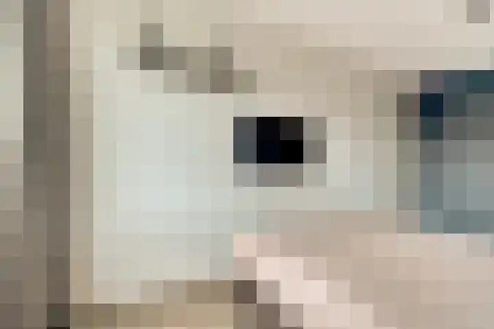 Spaanderbank 12 Harderwijk thumbnail 18