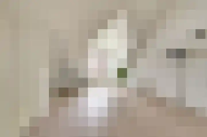 Spaanderbank 12 Harderwijk thumbnail 28