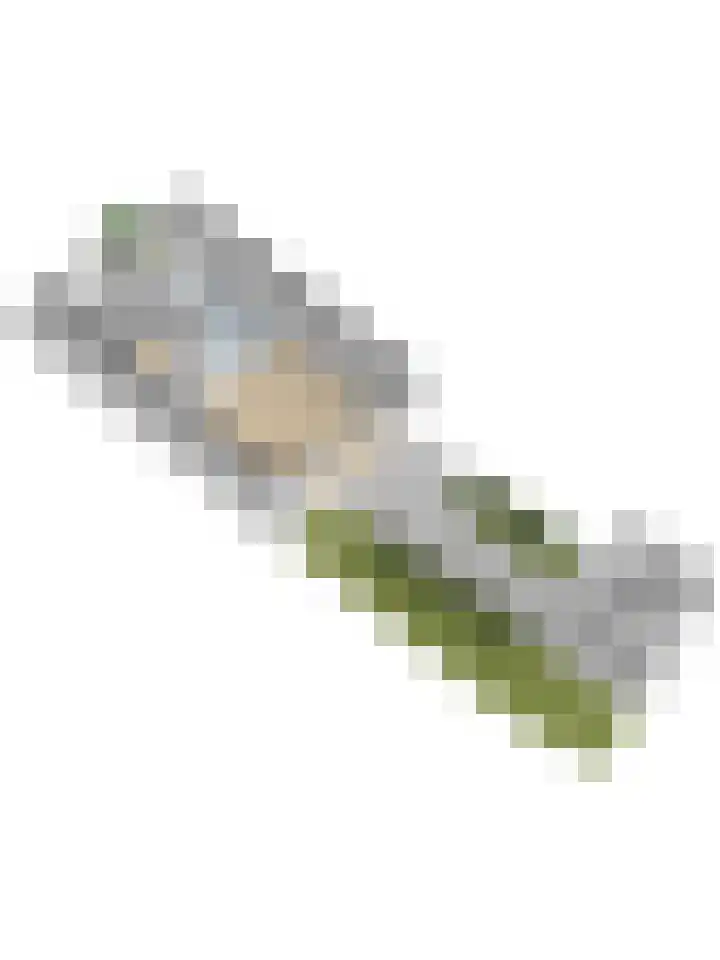Spaanderbank 12 Harderwijk thumbnail 47