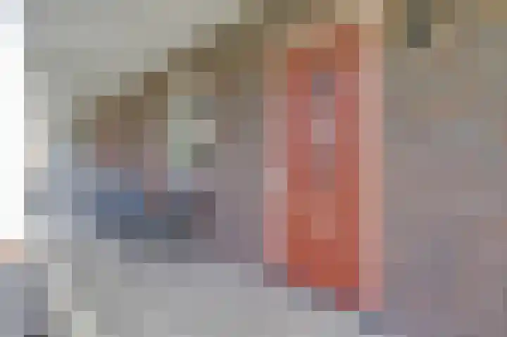 Spaanderbank 12 Harderwijk thumbnail 8