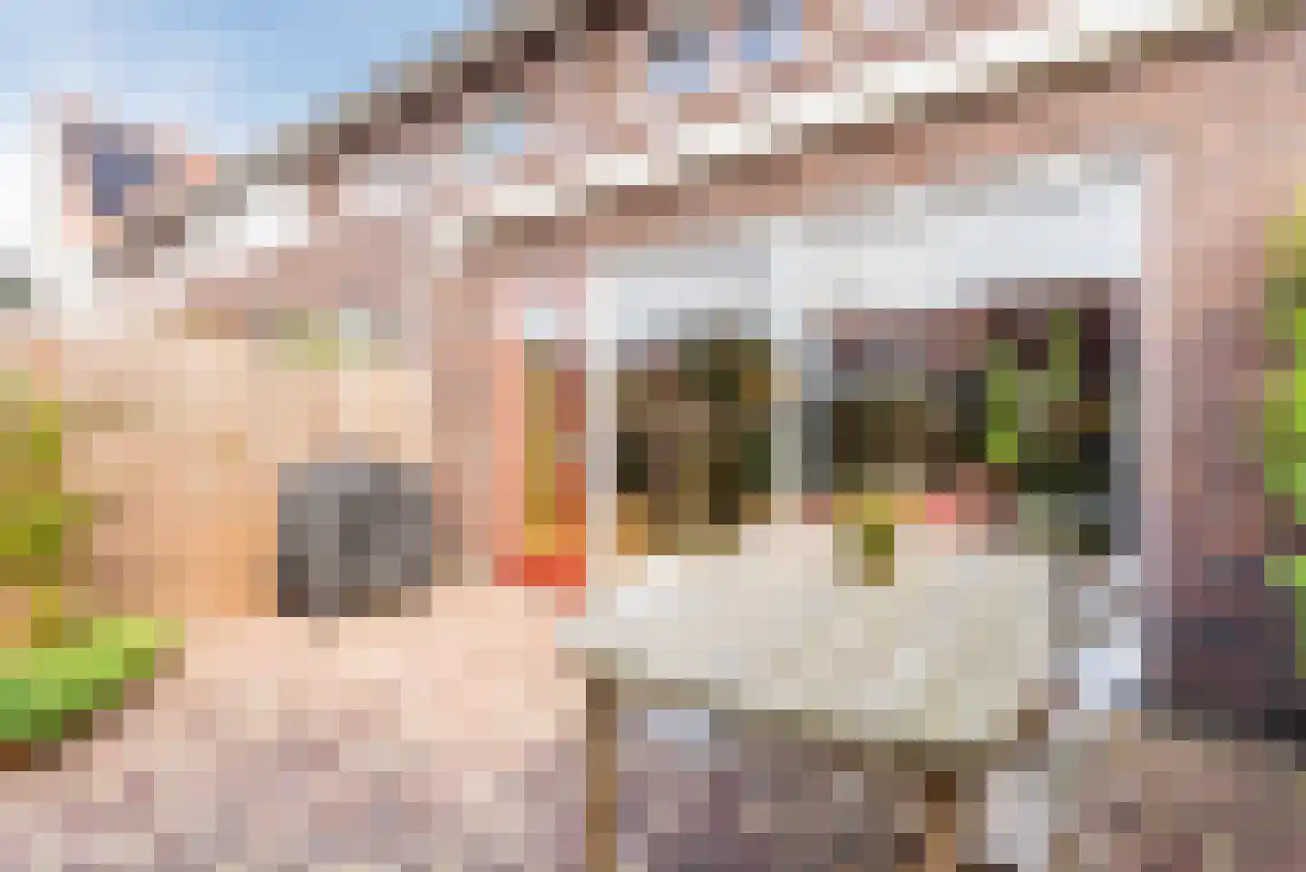 Spaanderbank 3 Harderwijk thumbnail 40