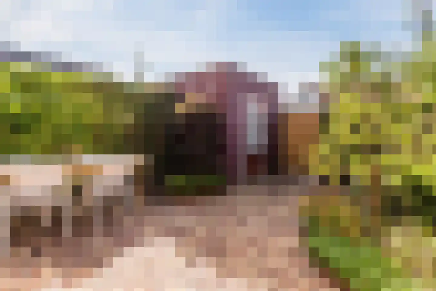 Spaanderbank 3 Harderwijk thumbnail 47