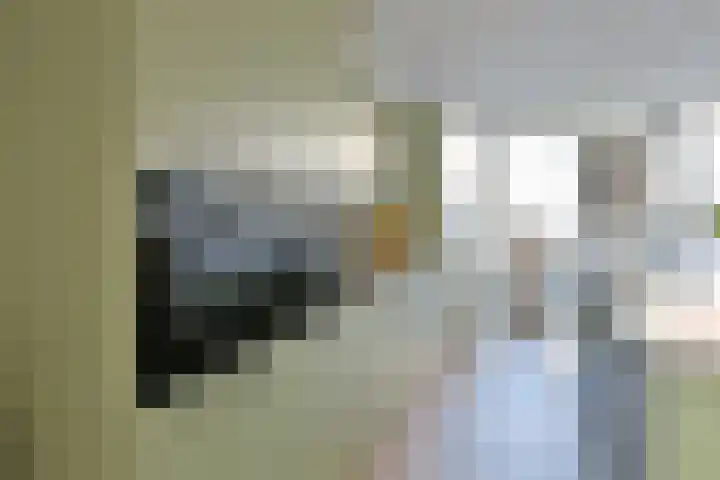 Spaanderbank 45 Huizen thumbnail 12