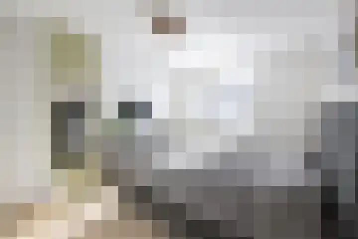 Spaanderbank 45 Huizen thumbnail 14