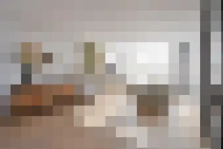 Spaanderbank 45 Huizen thumbnail 6
