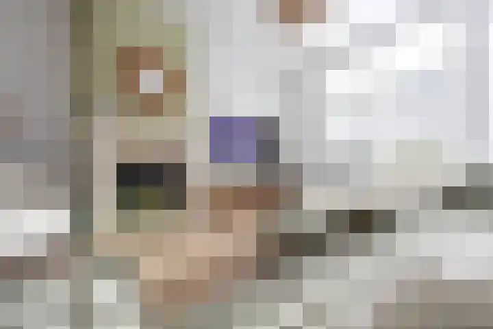 Spaanderbank 45 Huizen thumbnail 7