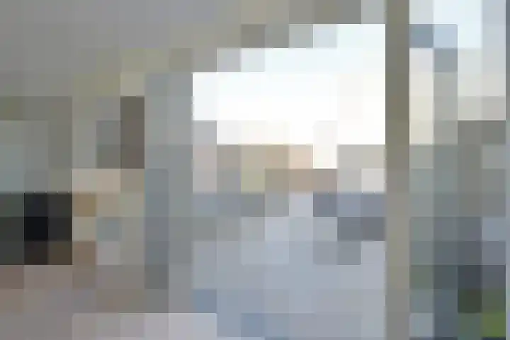 Spaanderbank 45 Huizen thumbnail 9