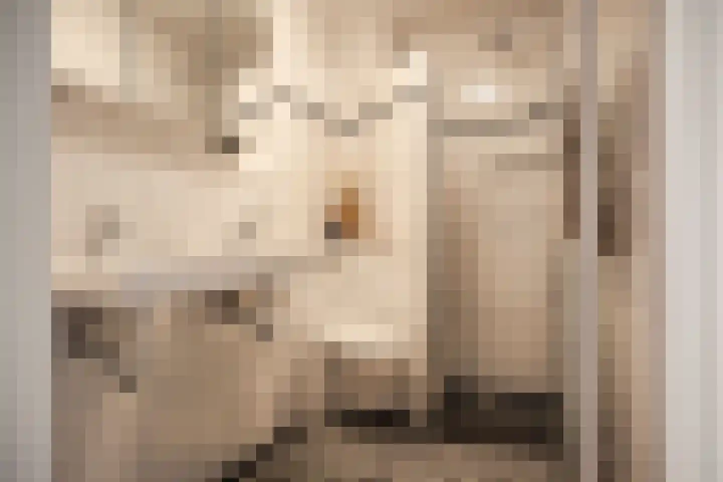 Spaanderbank 55 Huizen thumbnail 17