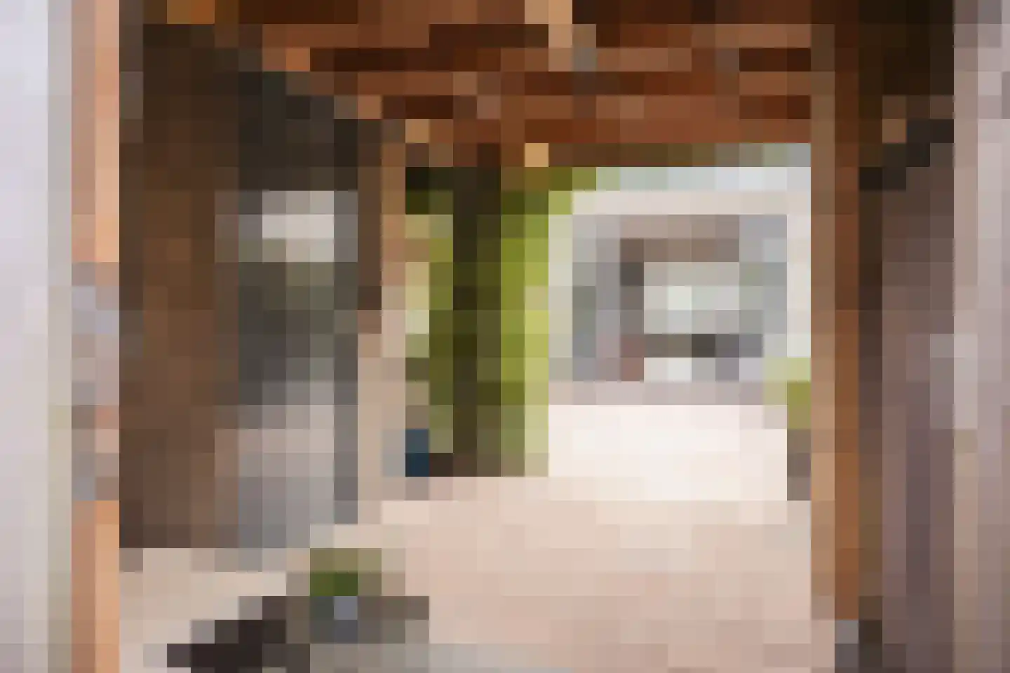 Spaanderbank 55 Huizen thumbnail 29
