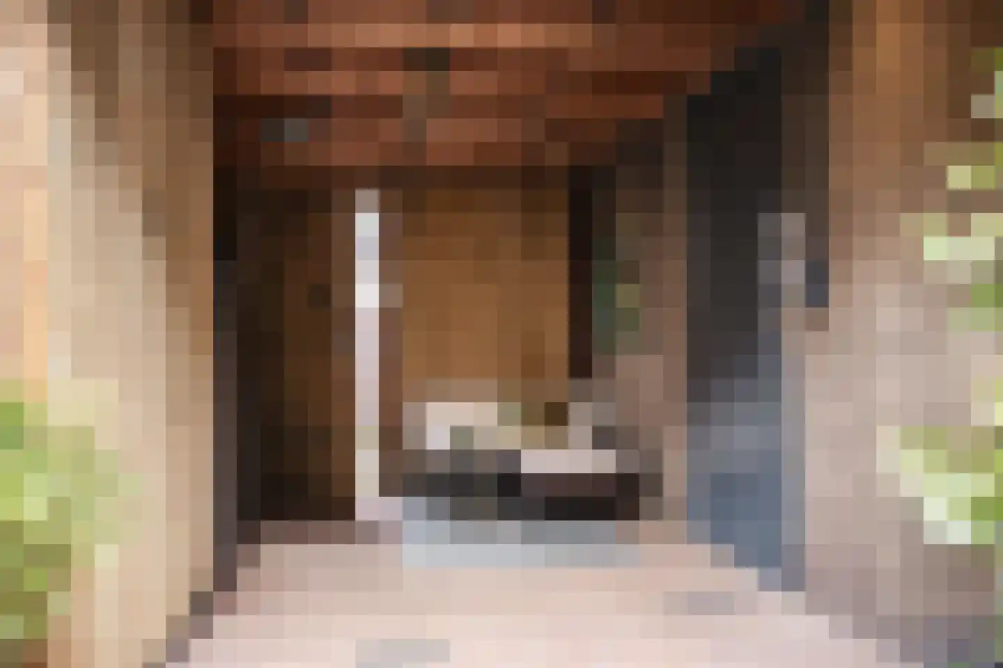 Spaanderbank 55 Huizen thumbnail 30