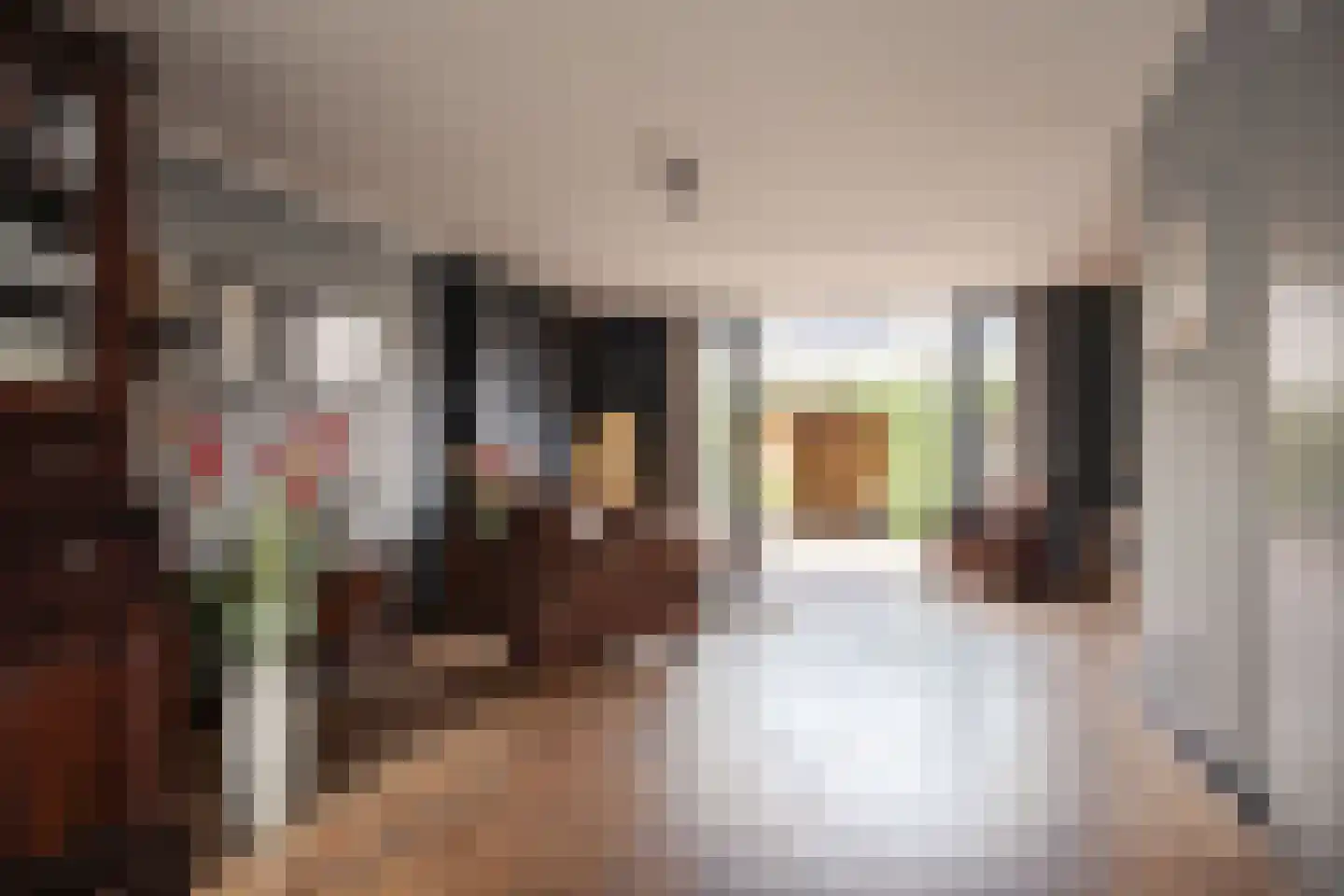 Spaanderbank 55 Huizen thumbnail 5