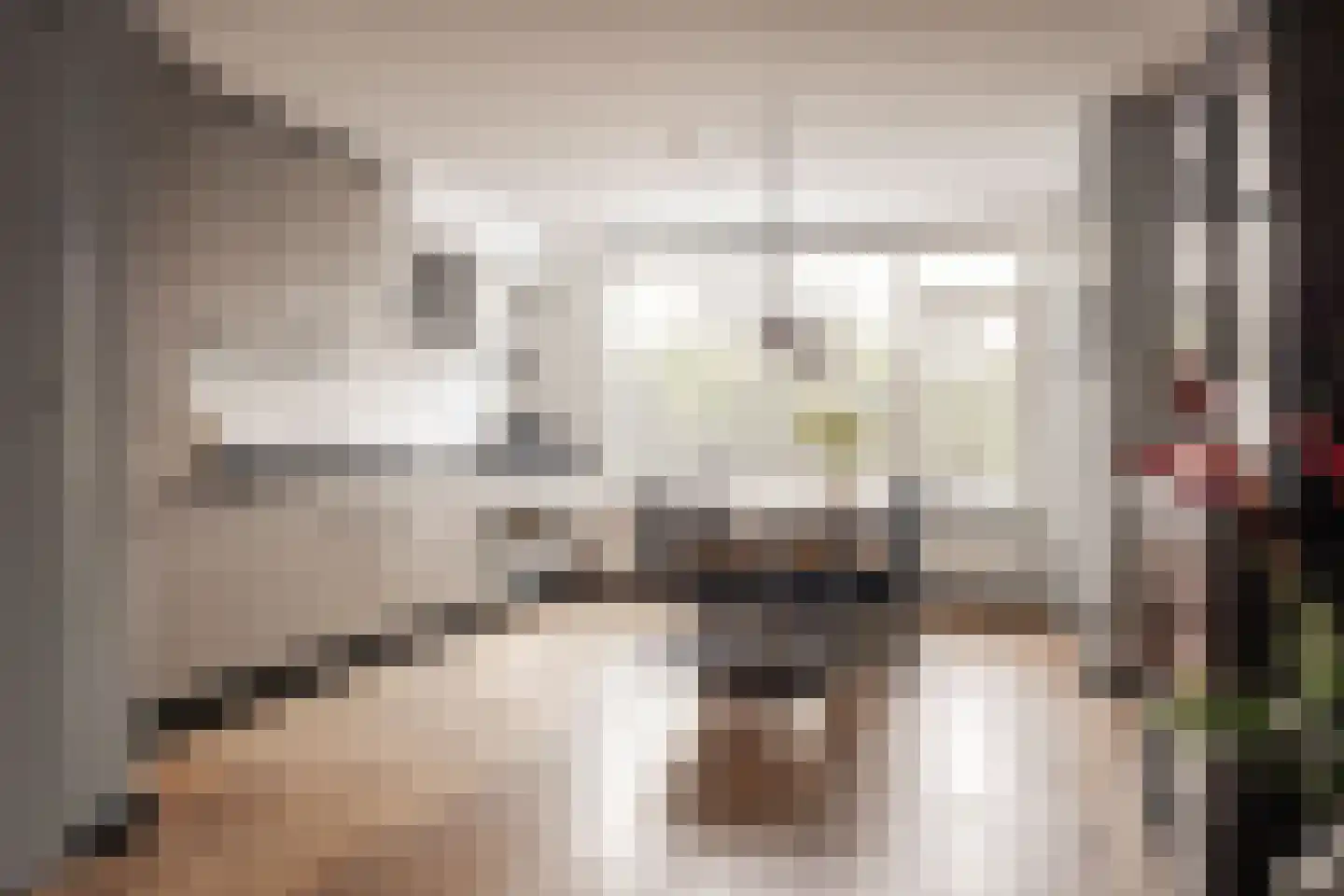 Spaanderbank 55 Huizen thumbnail 6