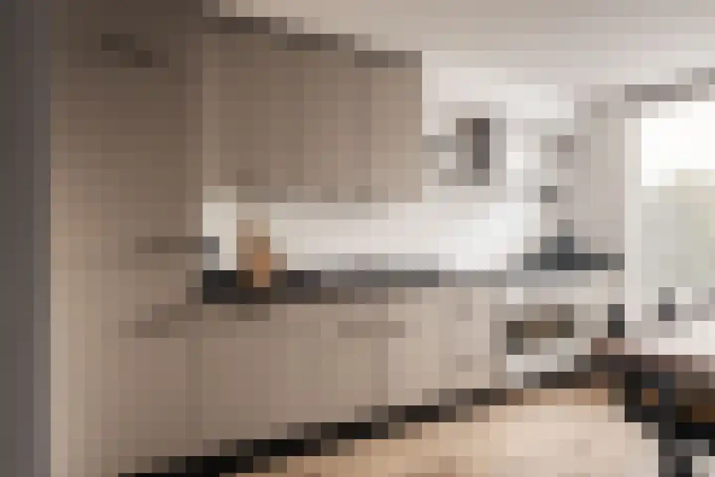 Spaanderbank 55 Huizen thumbnail 7