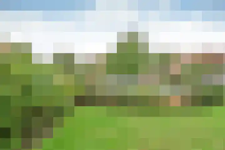 Spaanderbank 6 Huizen thumbnail 12