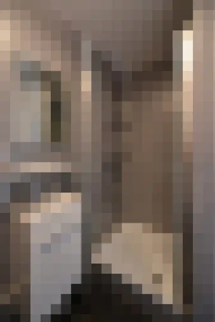Spaanderbank 6 Huizen thumbnail 7
