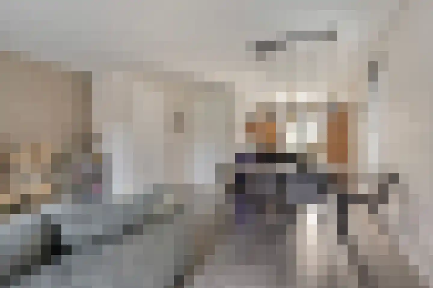 Spaanders 23 Best thumbnail 13