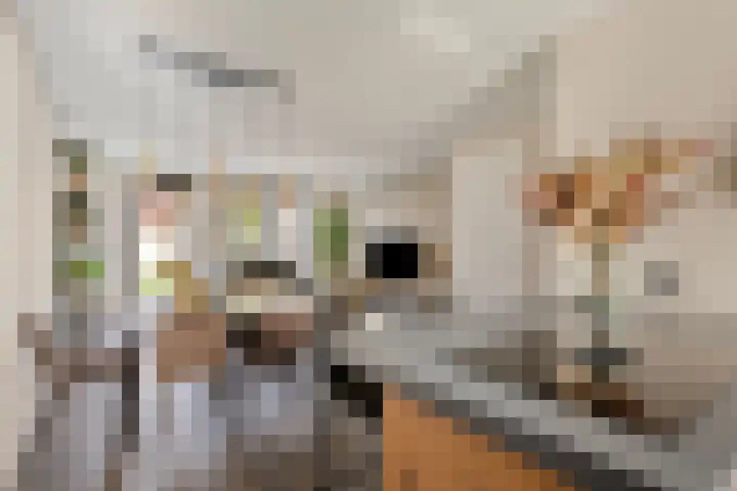 Spaanders 23 Best thumbnail 16