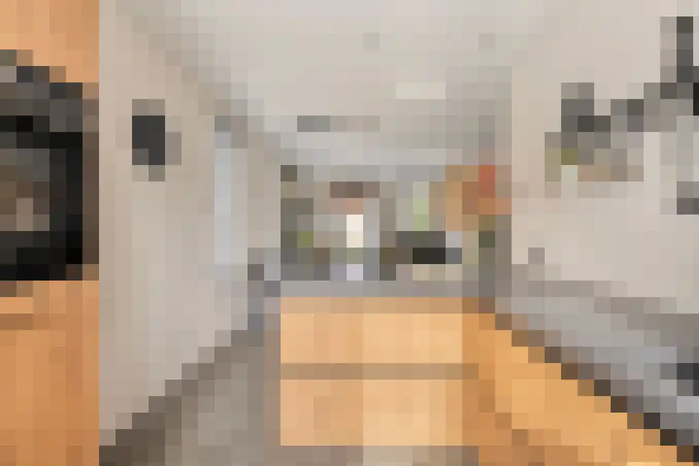Spaanders 23 Best thumbnail 17