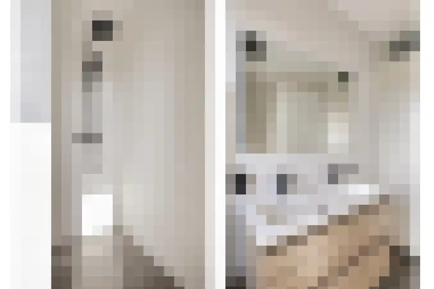 Spaanders 23 Best thumbnail 29