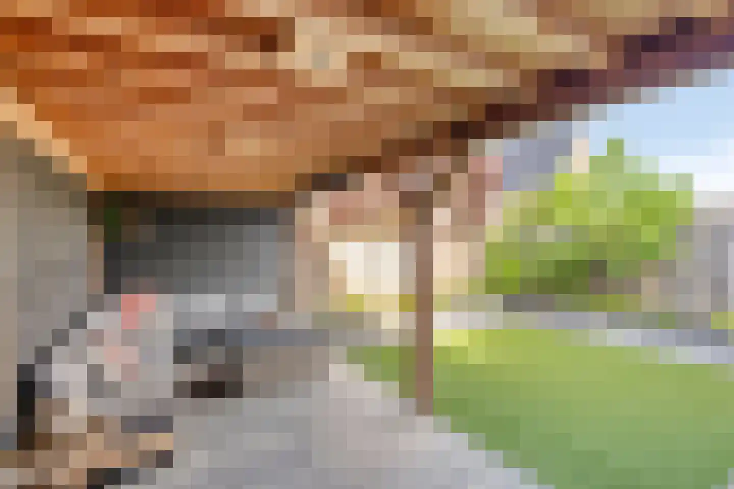 Spaanders 23 Best thumbnail 45