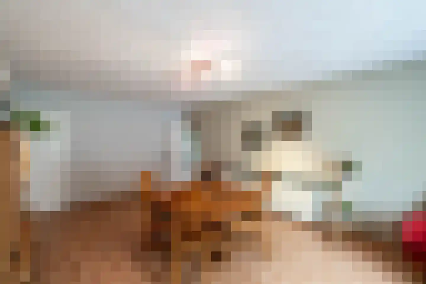 Spaanderstraat 126 Berghem thumbnail 11