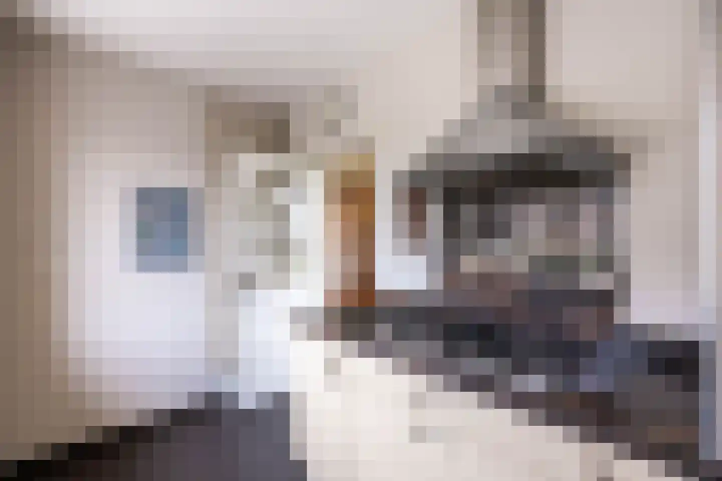 Spaanderstraat 126 Berghem thumbnail 14