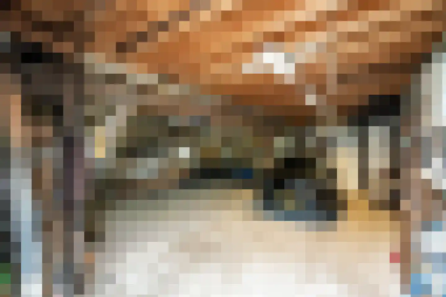 Spaanderstraat 126 Berghem thumbnail 25