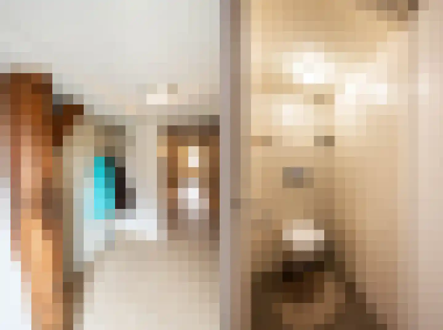 Spaanderstraat 126 Berghem thumbnail 6