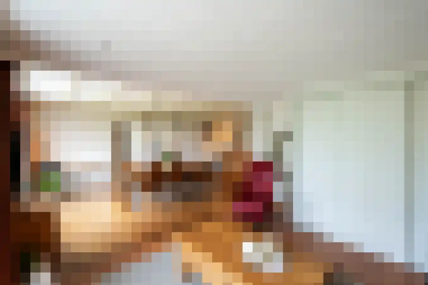 Spaanderstraat 126 Berghem thumbnail 9