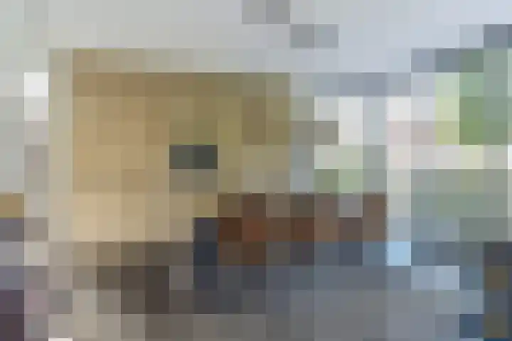Spaaneindsestraat 10 Esbeek thumbnail 10