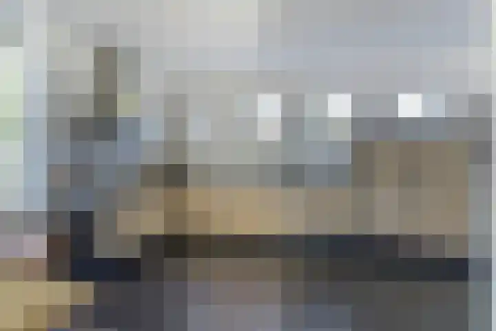 Spaaneindsestraat 10 Esbeek thumbnail 11