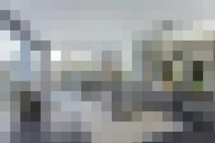 Spaaneindsestraat 10 Esbeek thumbnail 12