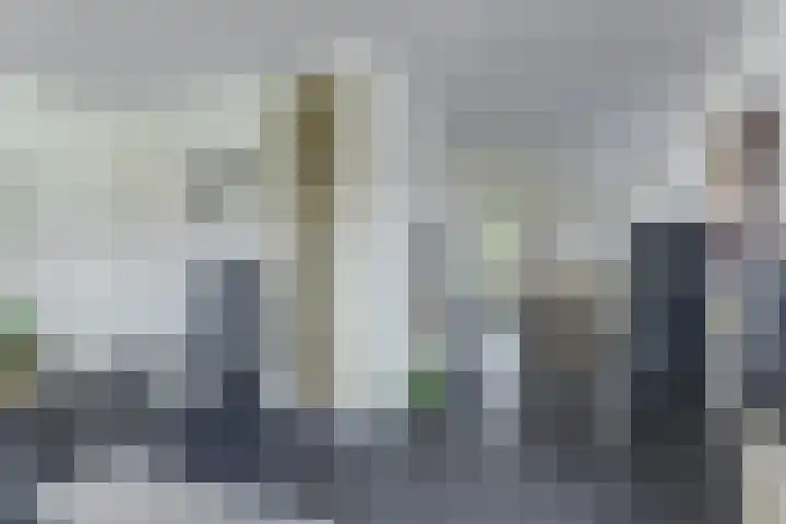 Spaaneindsestraat 10 Esbeek thumbnail 13