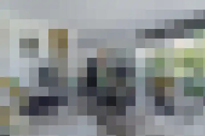 Spaaneindsestraat 10 Esbeek thumbnail 14