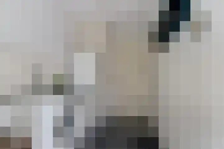 Spaaneindsestraat 10 Esbeek thumbnail 16