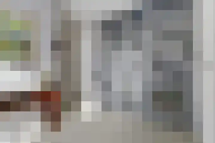 Spaaneindsestraat 10 Esbeek thumbnail 18
